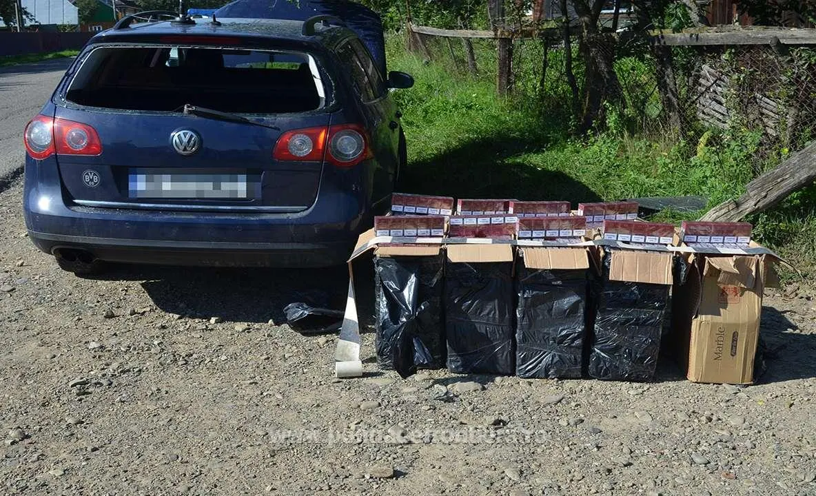 14.000 de pachete cu ţigări capturate la frontiera de nord a ţării