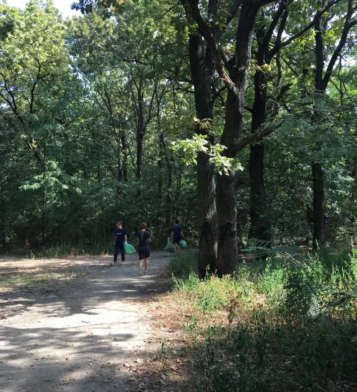 Sighetenii au participat la Ziua de Curățenie Națională