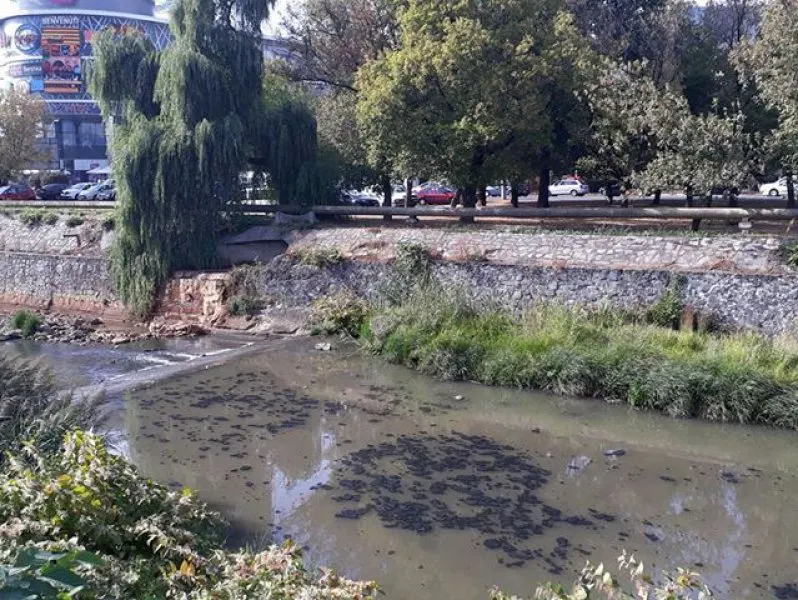 Alertă | Poluare cu ulei pe râul Săsar din Baia Mare