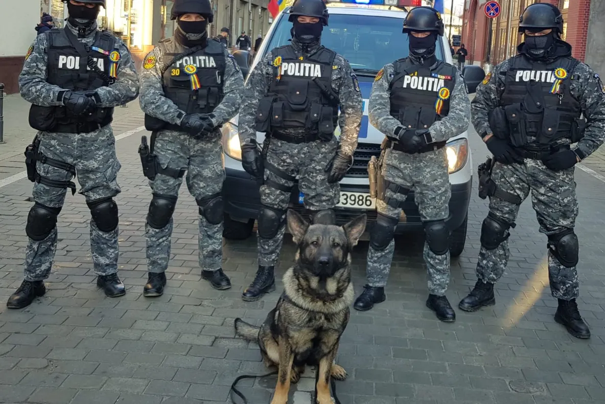 Aproape 1.000 sancţiuni contravenţionale aplicate de poliţiştii maramureșeni