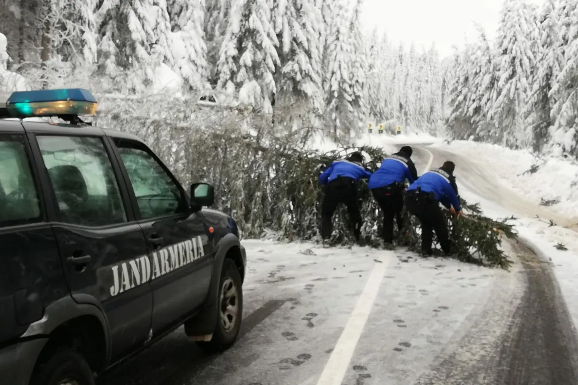Circulația pe DN 18, în zona Pasului Prislop, a fost îngreunată de câțiva copaci, doborâți de greutatea zăpezii