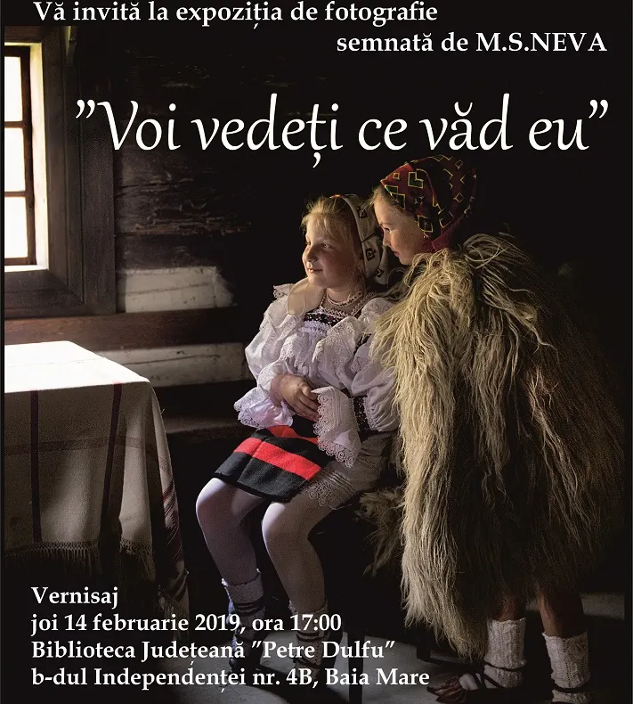 Agenda evenimentelor culturale din săptămâna 11 – 16 februarie, la Biblioteca Județeană ”Petre Dulfu”