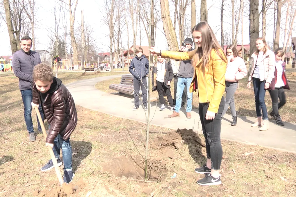 S-au plantat copaci în parcul Grădina Morii din Sighetu Marmației