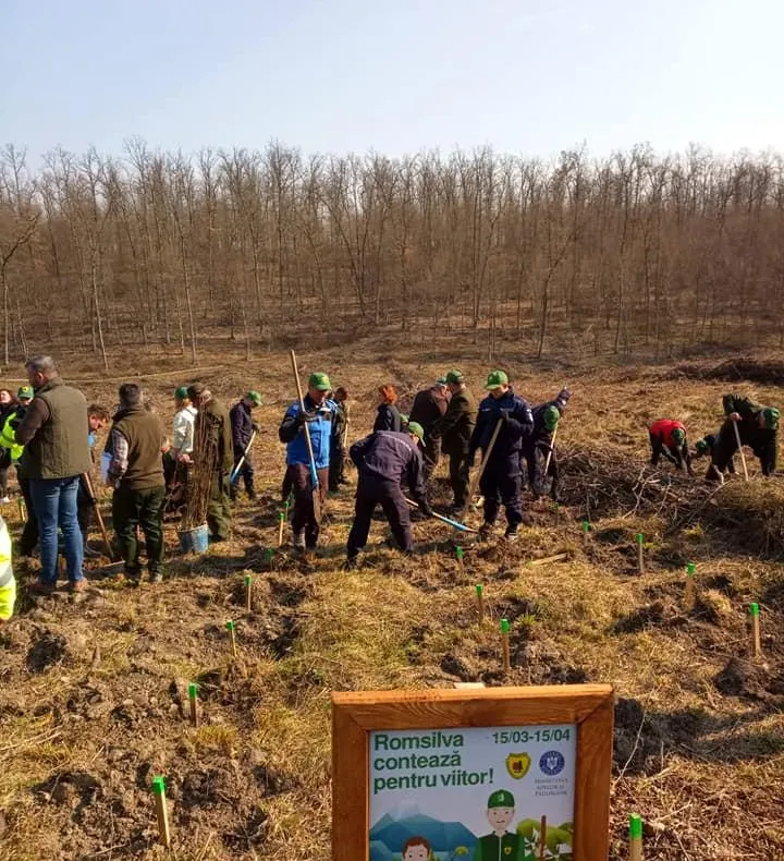 Jandarmii au plantat 6000 de copaci