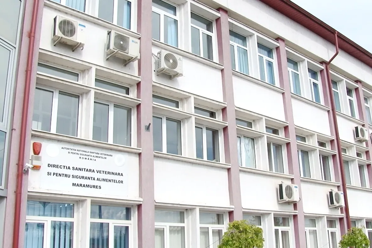 DSVSA Maramureș: legumele și fructele la control