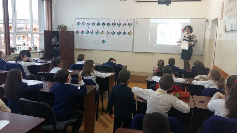 Maramureșul va fi reprezentat, la faza națională a olimpiadei de matematică, de un lot format din 30 de elevi
