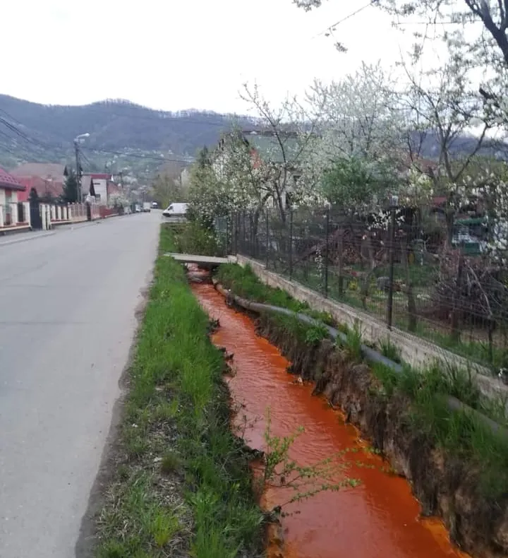 Poluare accidentală cu ape de mină în Baia Mare