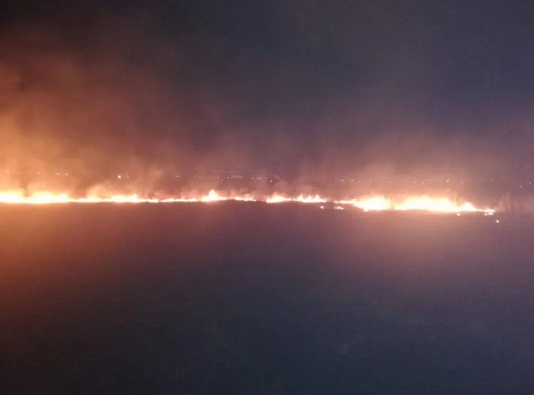 Doi morţi într-un incendiu de vegetaţie
