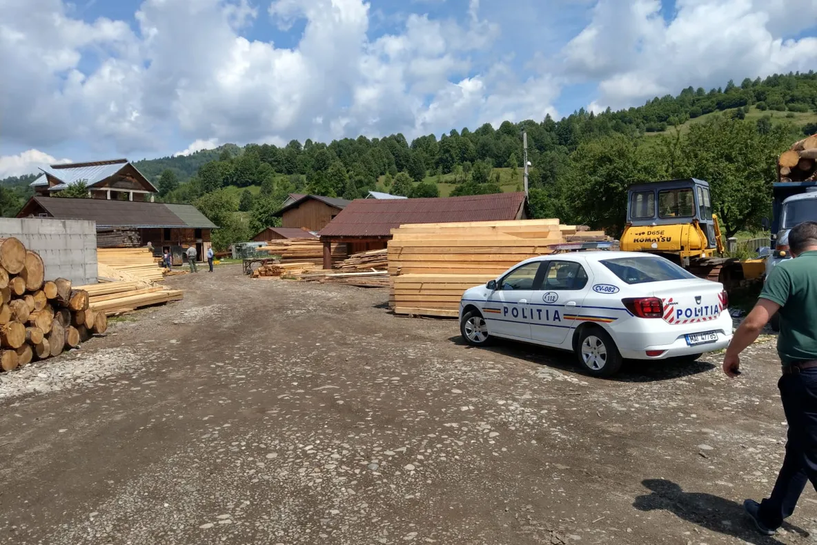 Aproape 2.400 de metri cubi de material lemnos au fost confiscați de polițiștii Direcției de Ordine Publică - Serviciul Protecția Fondului Forestier și Piscicol