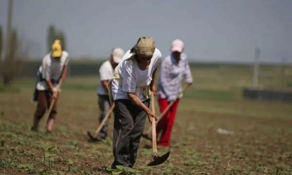BINE DE ȘTIUT: Modificări în reglementările privind munca zilierilor