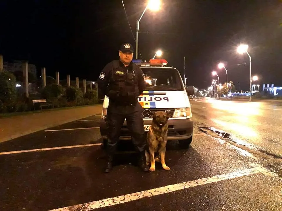 IPJ MARAMUREȘ: Vis este câinele polițist al zilei