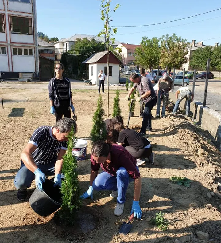 EXEMPLU: Spaţii verzi amenajate de elevi şi voluntari