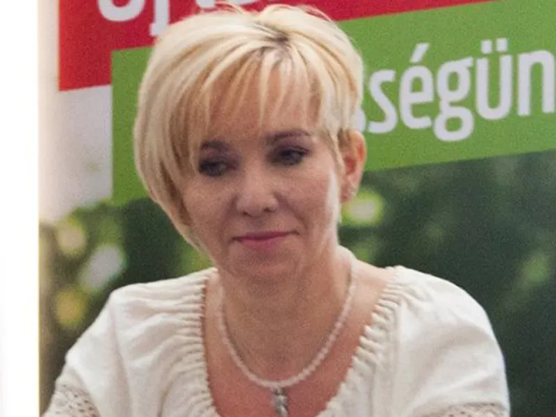 Viceprimarul Băii Mari şi primarul din Săpânţa rămân în funcţie