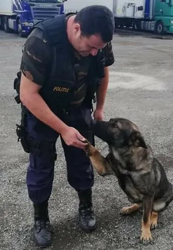 Încă un caz rezolvat de câinele polițist Teba