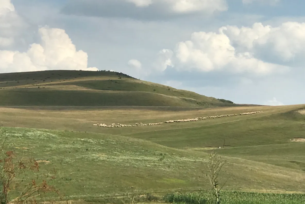 Fermierii își primesc banii de la APIA