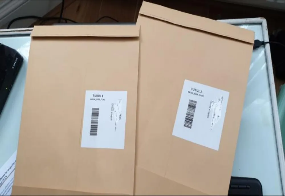  Vot diaspora, alegeri prezidențiale 2019. Câte voturi prin corespondență a validat AEP 