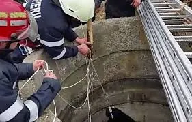 Femeie care a sustras o sumă de bani dintr-o locuinţă, prinsă de poliţiştii din Tăuţii Măgherăuş la scurt timp de la comiterea faptei
