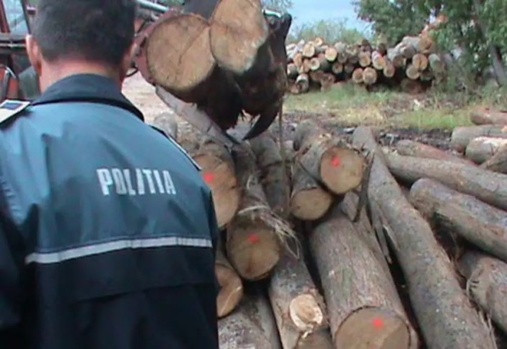 Poliţiştii maramureşeni au continuat acţiunile pentru combaterea delictelor silvice