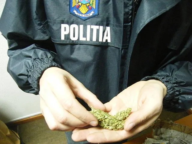 Maramureșean cercetat pentru trafic de droguri de risc