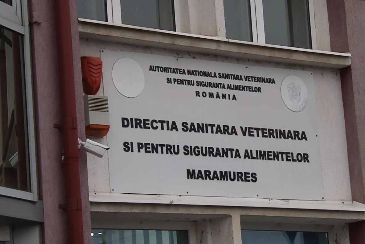 Recomandări pentru protejarea animalelor în perioadele cu temperaturi foarte scăzute, vânt puternic şi căderi masive de zăpadă