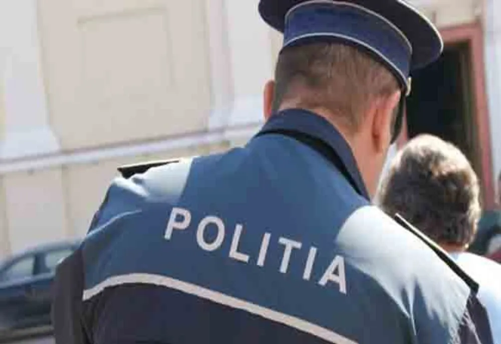 Prinşi în flagrant în timp ce sustrăgeau plăci de andezit