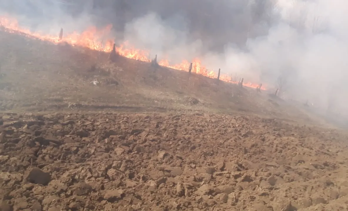 ( FOTO ) Incendiu de vegetație uscată în Ieud. Focul se apropie de case