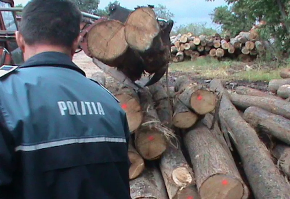 Cercetat pentru tăiere ilegală de arbori după ce a fost depistat de poliţişti transportând lemn