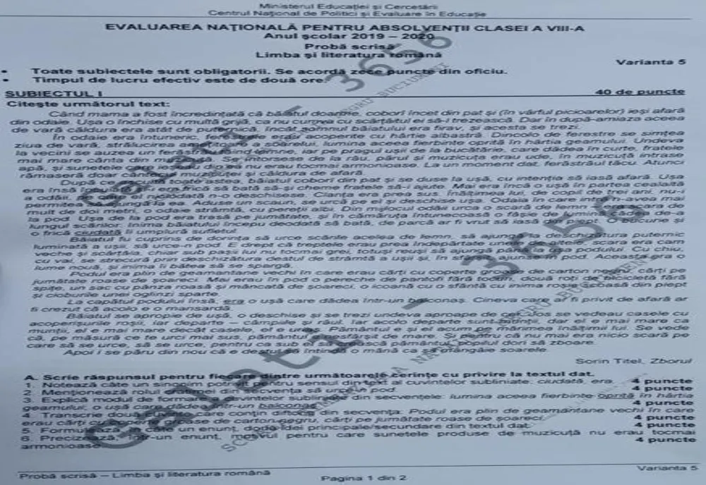 SUBIECTE EVALUARE NAȚIONALĂ 2020. Ce au avut de rezolvat elevii la Limba și literatura română