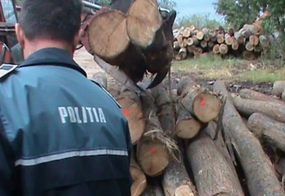 MARAMUREȘ: Controale pe drumurile publice pentru prevenirea şi combaterea faptelor ilicite la regimul silvic