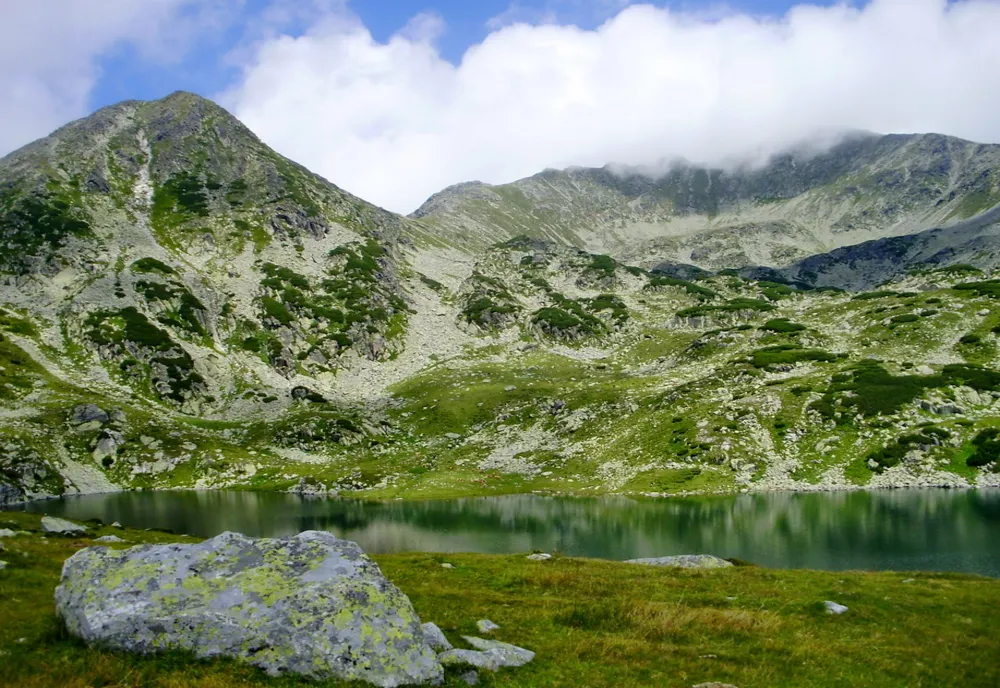 Salvamontiştii atrag atenţia asupra prezenţei viperelor pe unele trasee