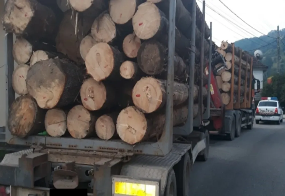 Lemn confiscat la Baia Sprie! Bărbatul care transporta masa lemnoasă nu avea permis de conducere