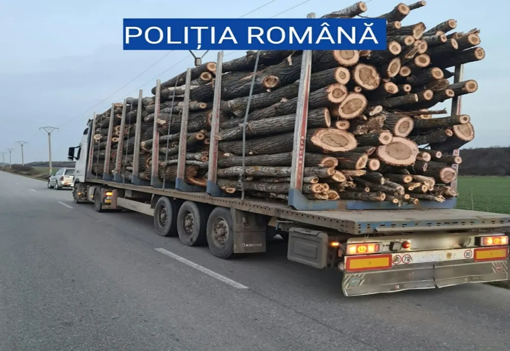 Controale silvice în judeţul Maramureş! Oamenii legii au aplicat amenzi şi au confiscat material lemnos