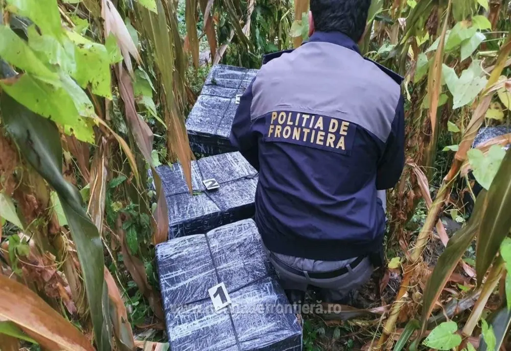 Ţigări de contrabandă în valoare de aproximativ 408.000 lei confiscate la frontiera de nord (FOTO)