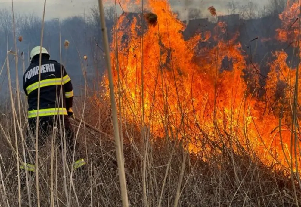 Tragedie într-o localitate din Maramureş! O femeie şi-a pierdut viaţa într-un incendiu de vegetaţie