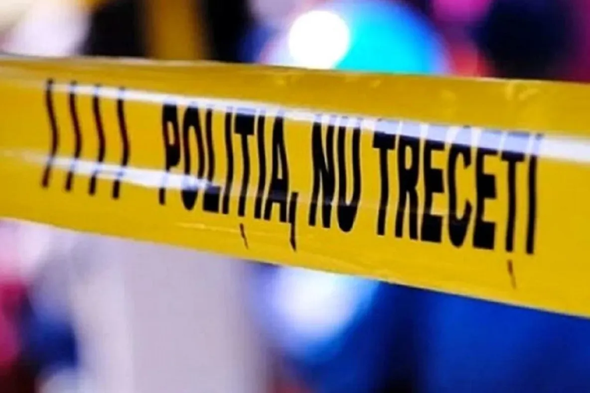 Accident tragic în Maramureș. Un bărbat a fost strivit de copacul pe care încerca să-l taie