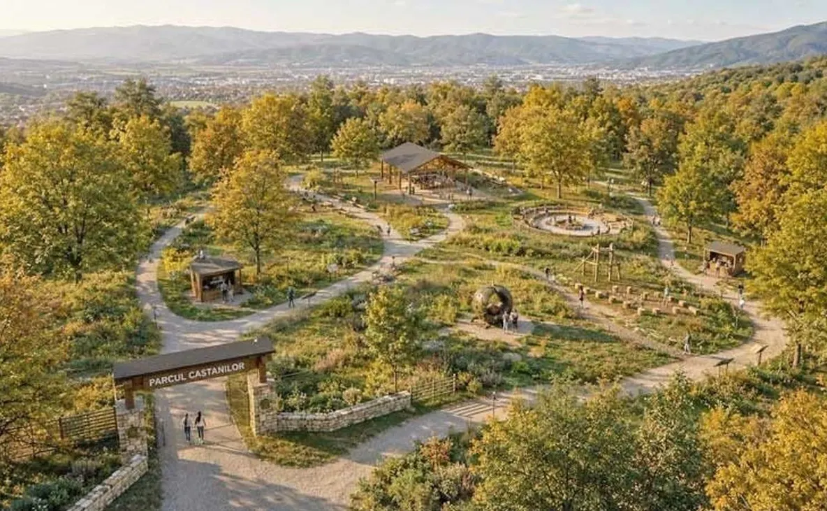 Parcul Castanilor din Baia Mare stârnește noi controverse. Ce se întâmplă cu proiectul de pe Dealul Crucii