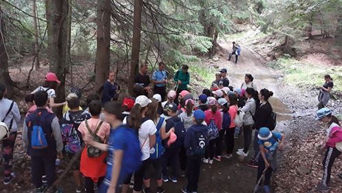 Vacanţa în siguranţă, prioritatea jandarmilor maramureşeni