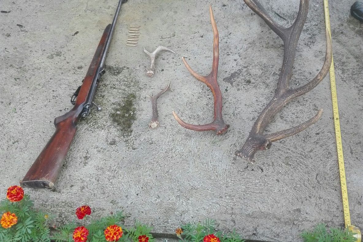 Armă ridicată de poliţişti în urma unor percheziţii domiciliare pe raza localităţii Ieud din județul Maramureș