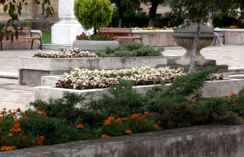 Florile din parcuri și din spațiile verzi din Sighetu Marmației au devenit ținta hoților