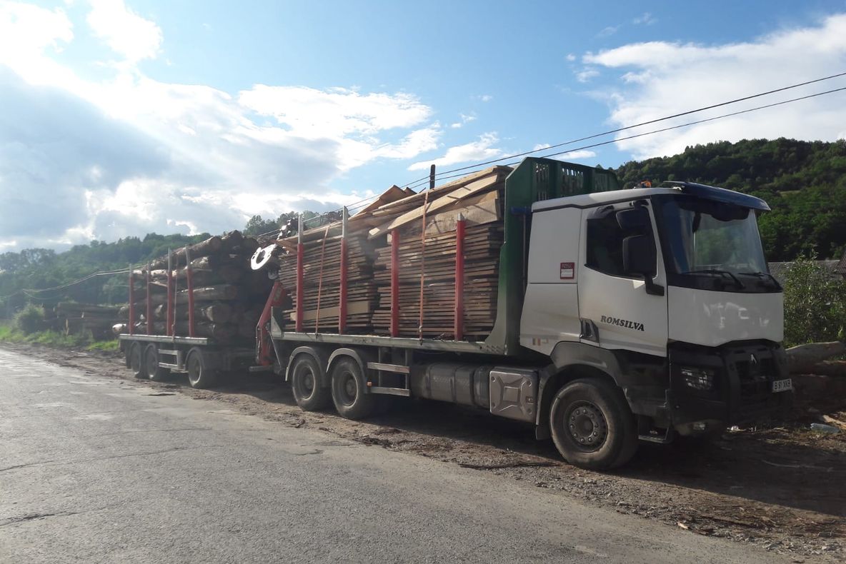 Poliţiştii maramureșeni au confiscat lemn în valoare de 70 000 de lei şi au aplicat sancţiuni contravenţionale în valoare de 23 000 de lei