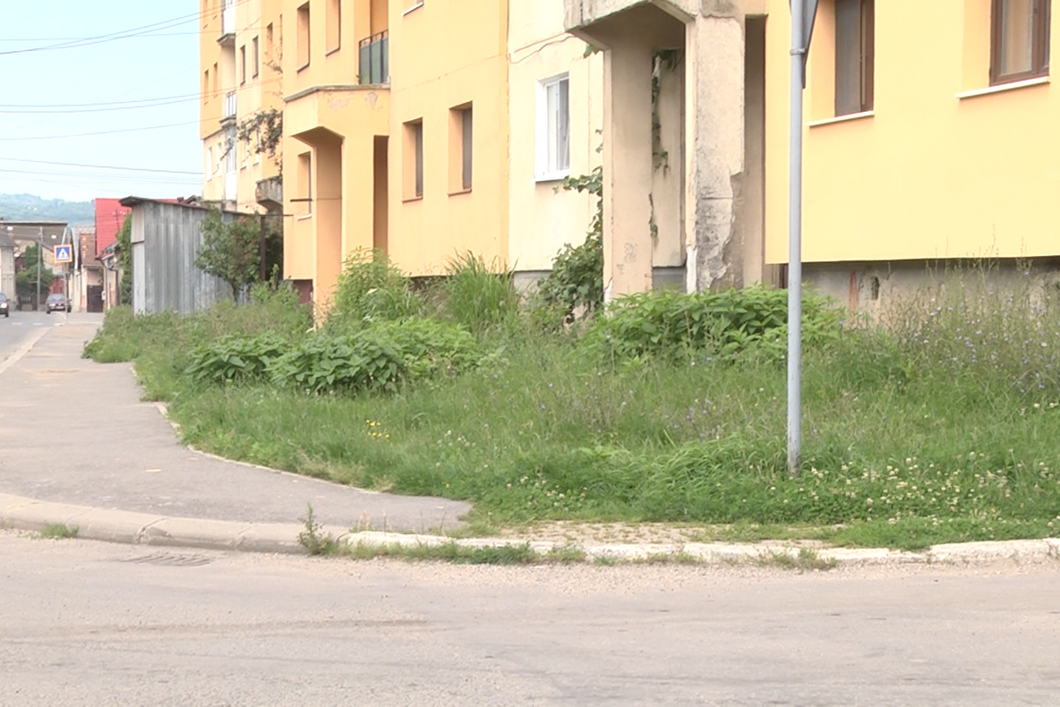 CA LA NOI, LA NIMENEA: Un bărbat a fost nevoit să facă cerere scrisă ca să fie cosit spațiul verde de pe strada pe care locuiește