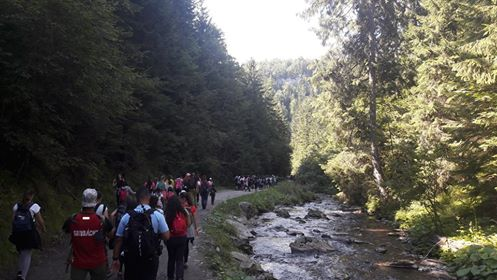 Sfaturile jandarmilor montani maramureșeni pentru a evita atacurile urşilor