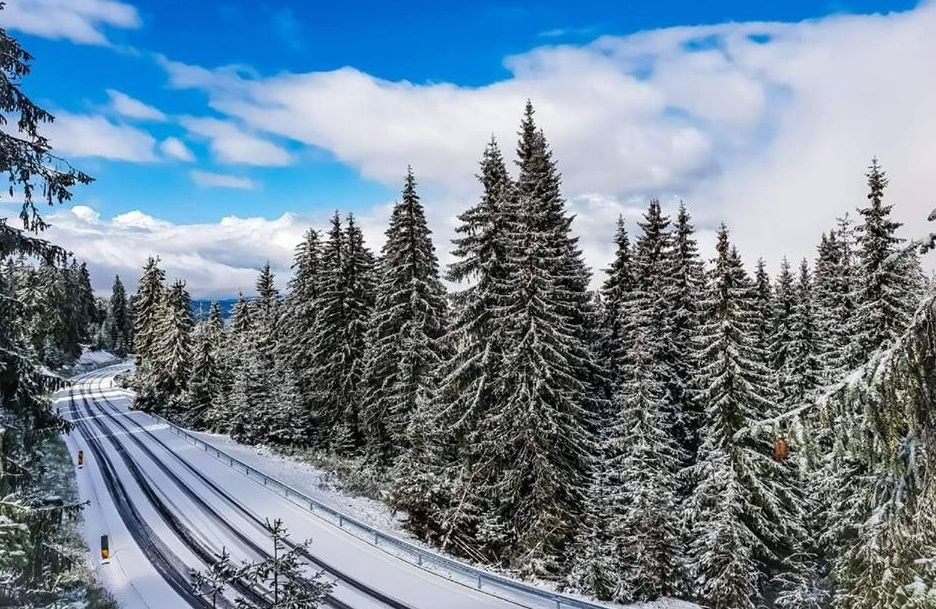 A nins în Maramureș
