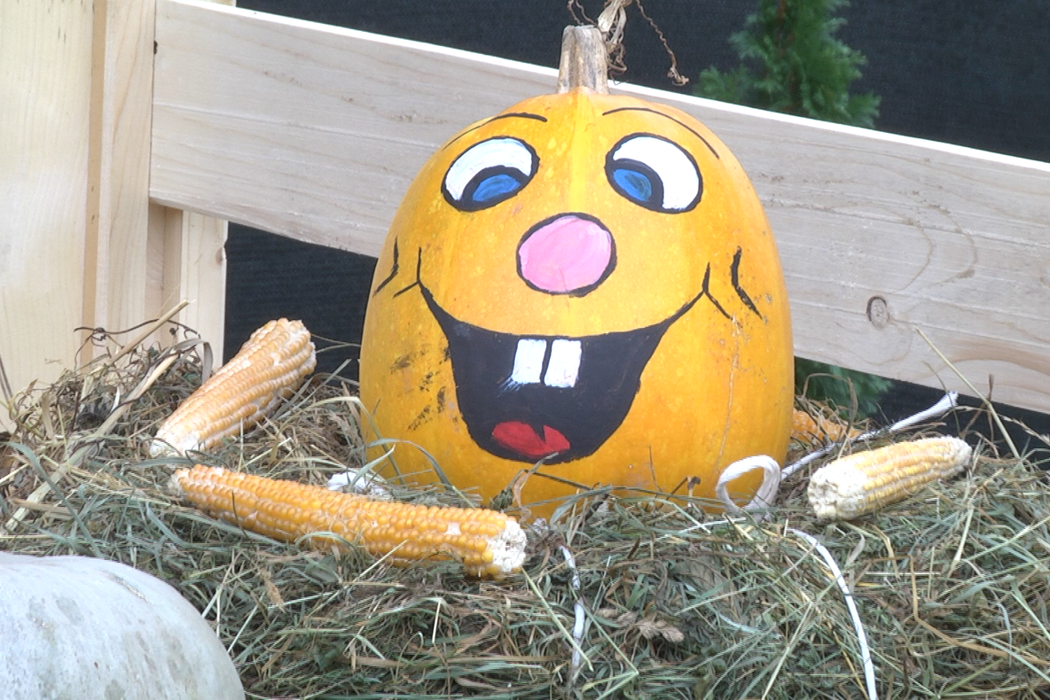 Carnavalul toamnei a fost sărbătorit la Grădinița nr. 9 din Sighet