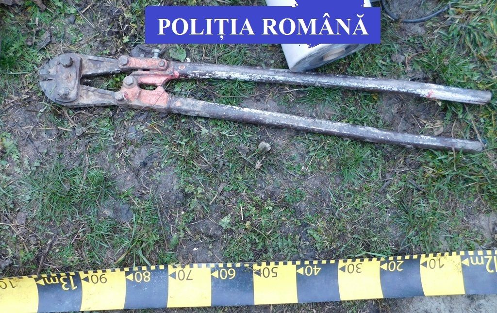 Sala Studio din Sighetu Marmației ar putea fi reabilitată pe bani euopeni