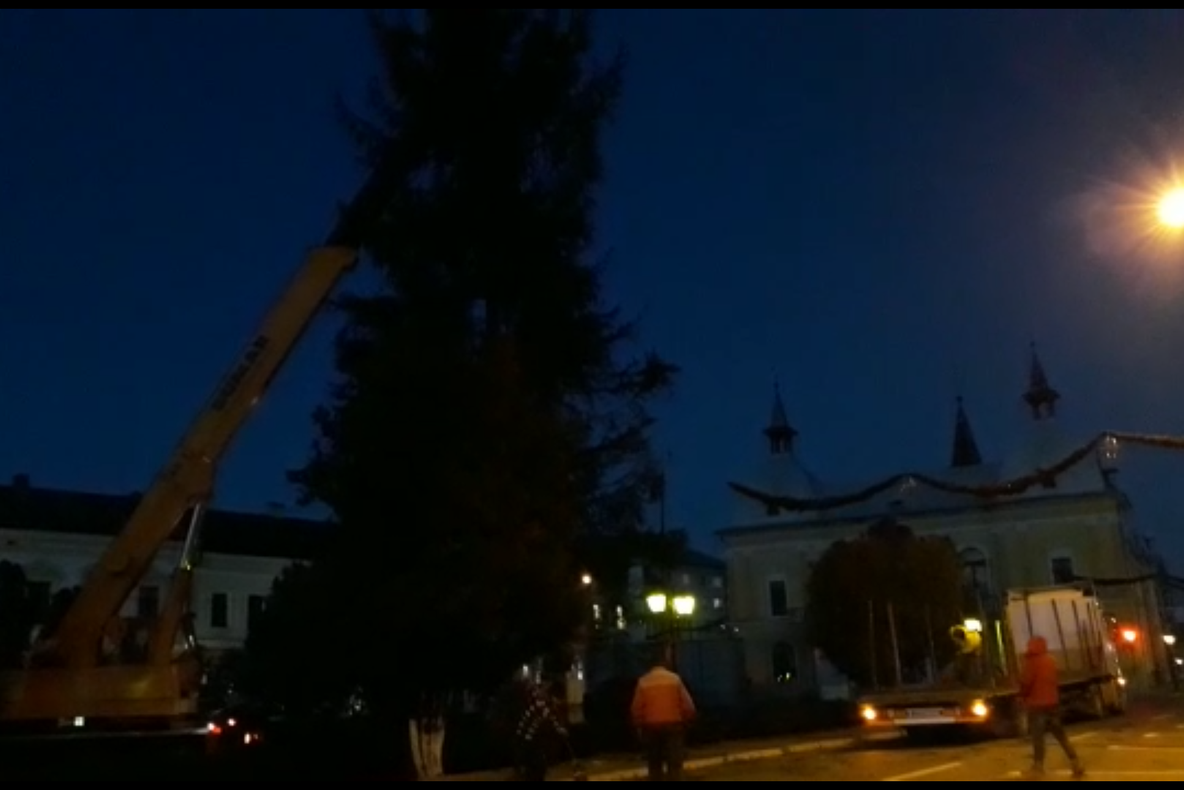 Pomul de Crăciun a ajuns în Sighet