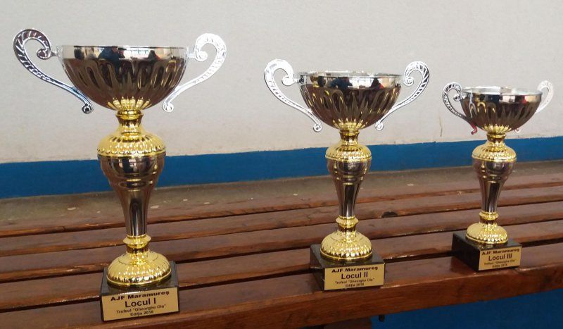 Plimob Sighetu Marmației, locul I în Interliga de Iarnă