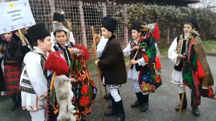 Consultare publică privind Standardele de Tineret la Baia Mare