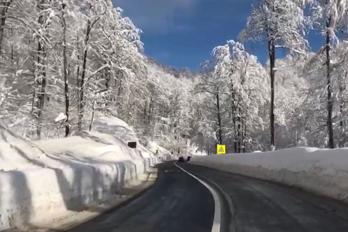 VIDEO | Peisaj de iarnă, în Maramureș
