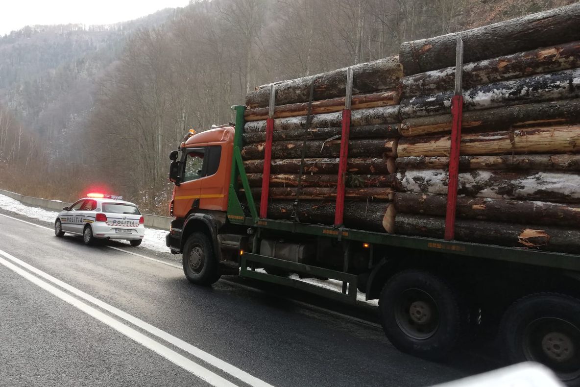 Ce spune primarul municipiului Sighetu Marmației despre protestul din fata primăriei